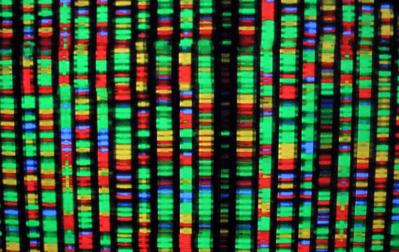 A digital representation of the human genome.