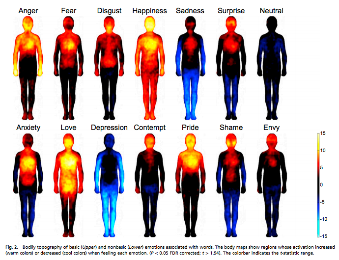 This is where we physically feel emotions in the body, according to researchers.