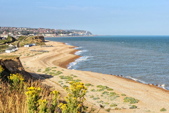 The men were rescued in the waters near Hastings