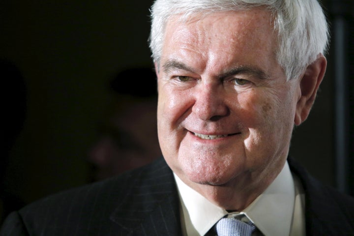 Former House Speaker Newt Gingrich says the U.S. ought to investigate terrorists like it did Nazi sympathizers.