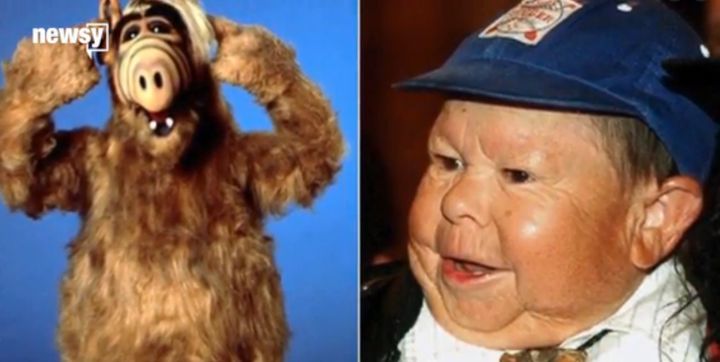 Alf and actor who played him, Michu Mescaros.