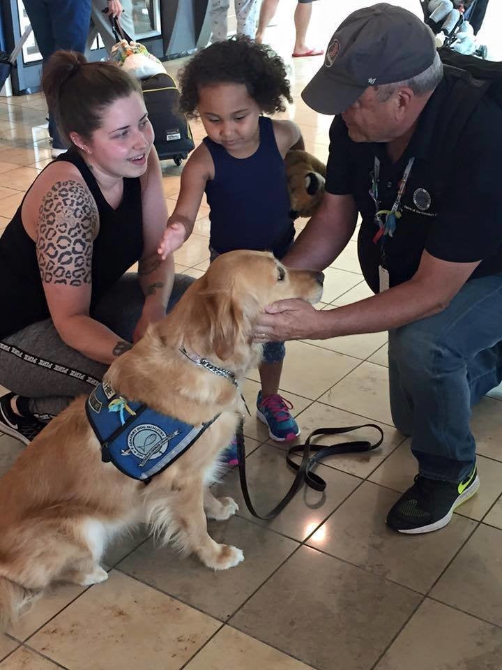 One golden makes friends en route to Orlando.