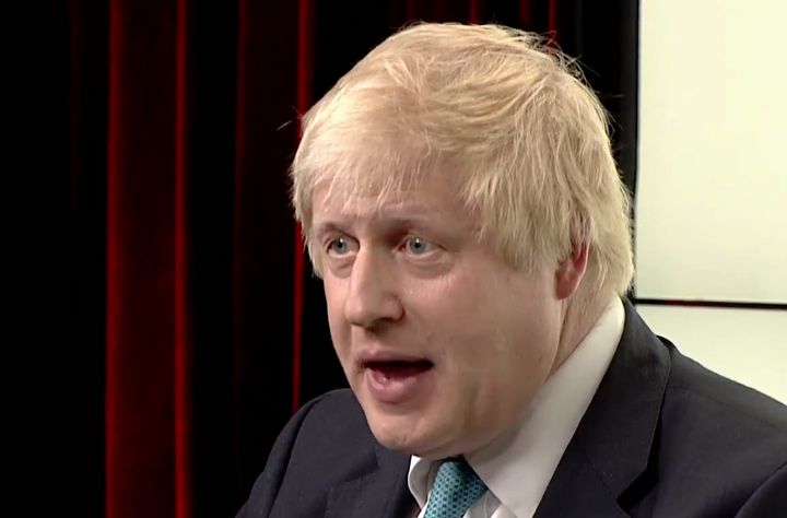 Johnson called the single-market a "fascinating study"