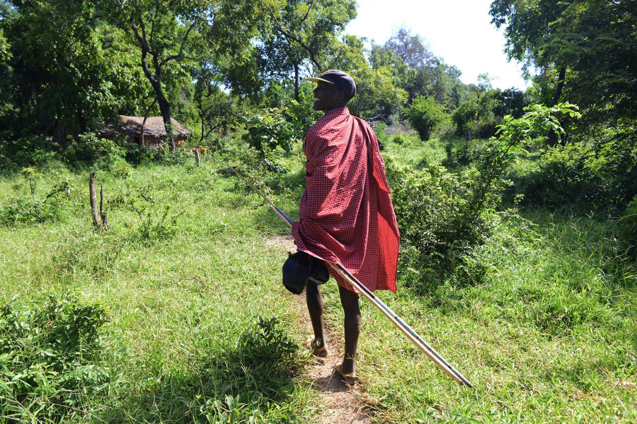 Kiodomwita, 60, saunters down a trickle of a trail to his wife Malinjaâs boma on his way back from market day in Nambogo, where multiple tribes including the Barabaigâs traditional halot, or enemy, the Maasai, meet to sell everything from livestock to maize and cloth.