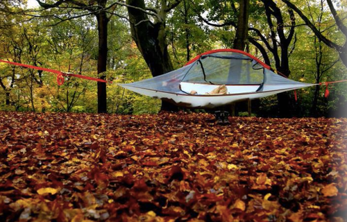 まるで空の上で眠っているみたい。ツリー・テントに泊まろう