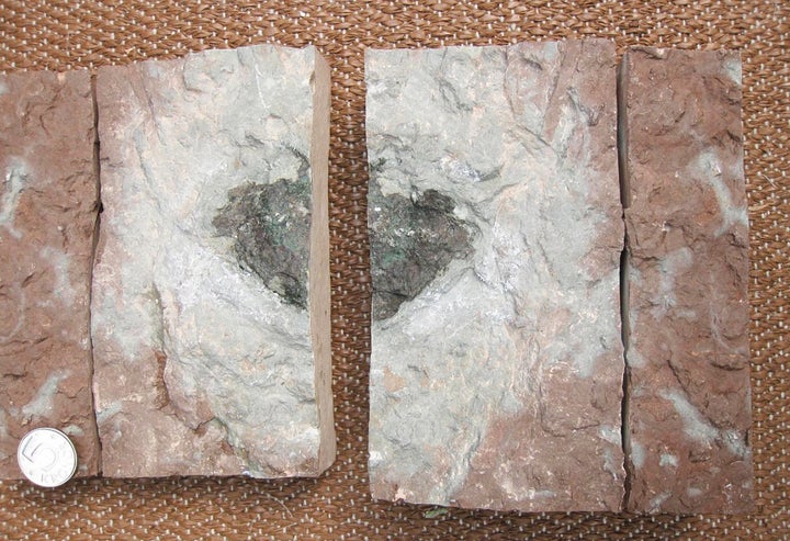 Close-up of a 470-million-year-old meteorite totally unknown among the tens of thousands of documented meteorites that have r