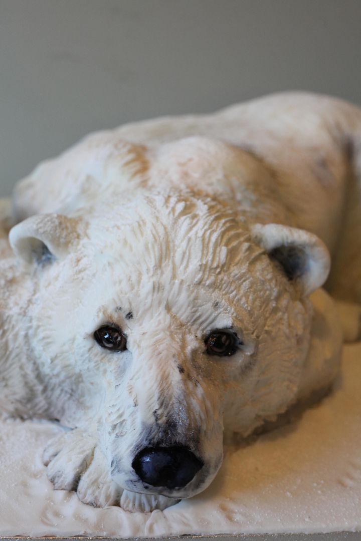 A polar bear cake by Hannah Edwards.