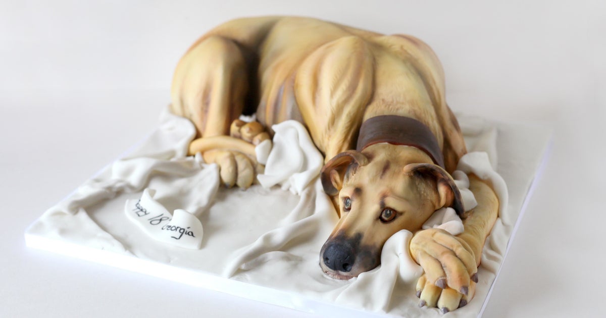 Animal Rights Activists Troll Baker Because Her Lifelike