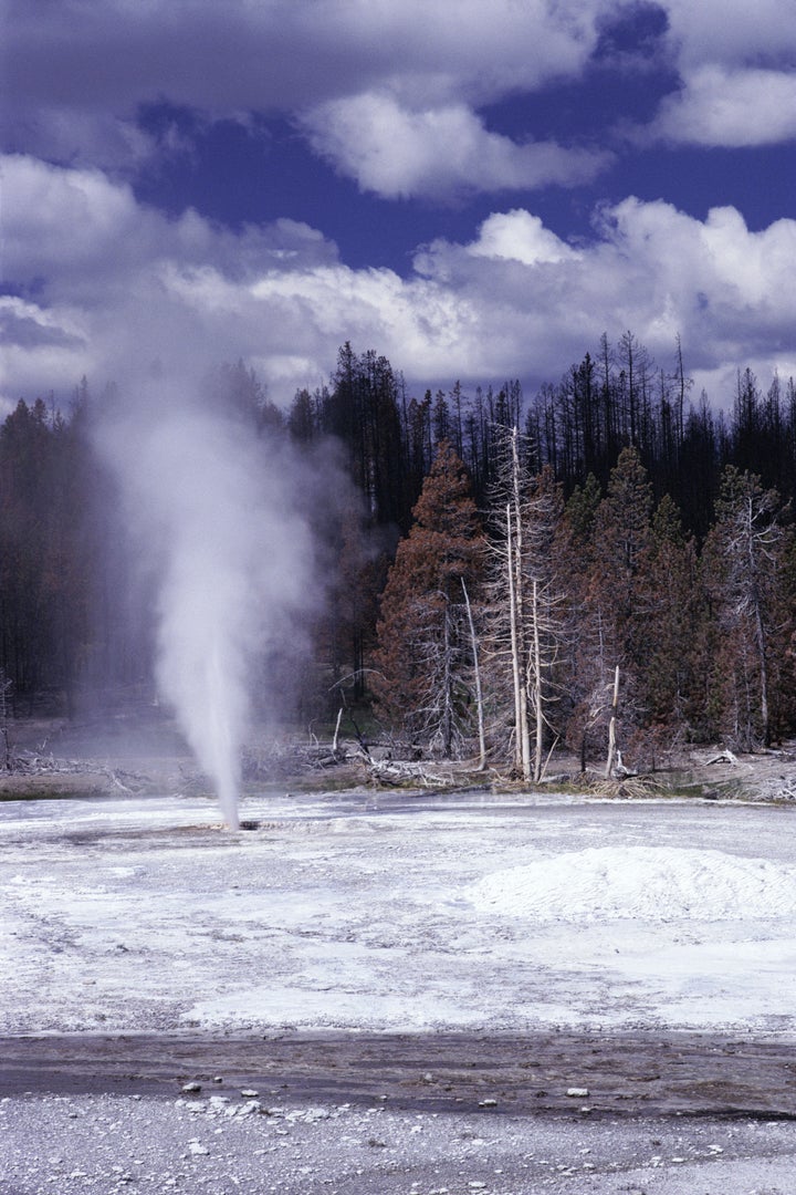 The fine comes a week after a tourist walked off a boardwalk surrounding Pork Chop Geyser, pictured, and fell into the boiling water.