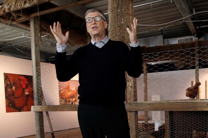 Bill Gates speaks to the media about his chicken donation plan.