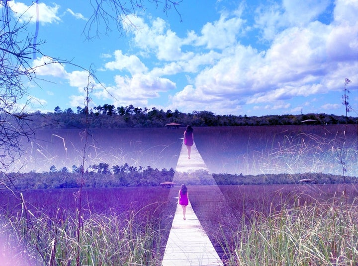<a href="http://www.janejenningsart.com/" target="_blank">janejenningsart.com</a>
