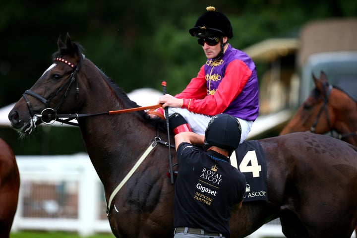 The Queen's horse, Guy Fawkes, was put down on June 16, 2016 after receiving an injury. Jockey Pat Smullen is pictured.