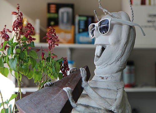<i>Photo by Nancy A. Ruhling</i><br><strong>What you don't want to see in your house.</strong>
