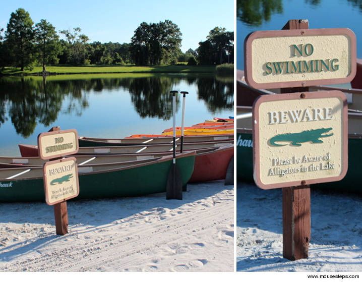 Nearby Hyatt Regency Grand Cypress, which posts gator signage along with a no swimming sign