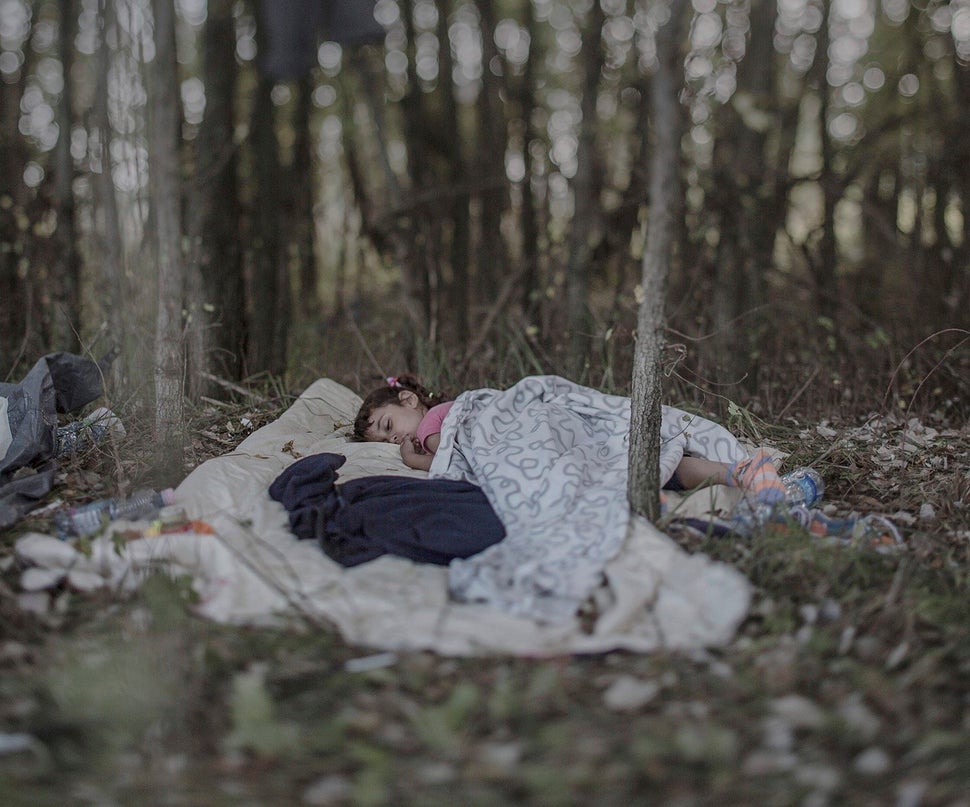 One in every 113 people globally is either an asylum-seeker, internally displaced or a refugee, UNHCR reported.