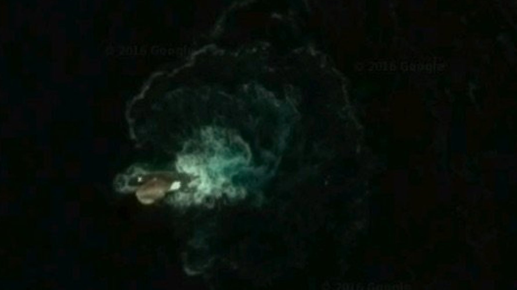 'Kraken' Sea Monster Spotted Off Antarctica On Google Earth Is Almost