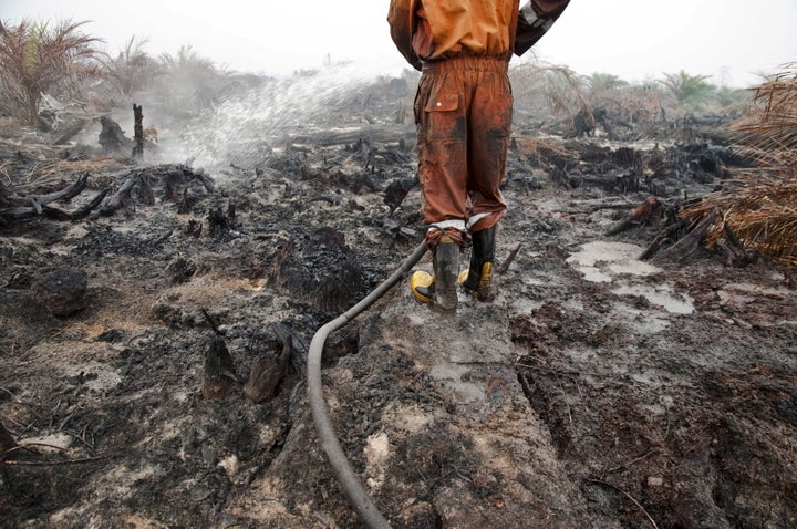 More than three environmental defenders were killed every week in 2015.