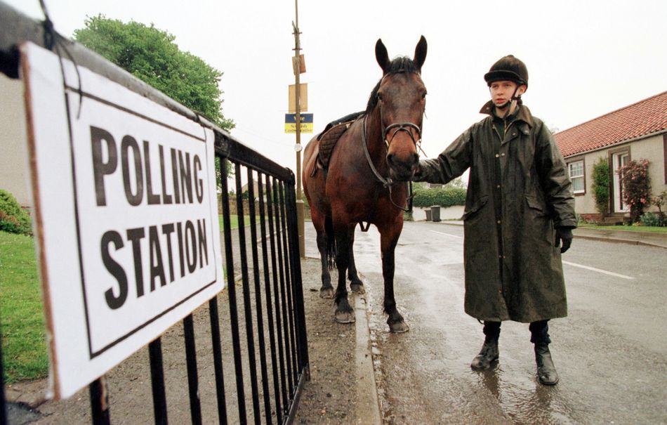 You are technically allowed to take pets to the polling station as long as they aren't disruptive to the vote. Unfortunately, given their size, horses would probably be classed as disruptive. And messy.