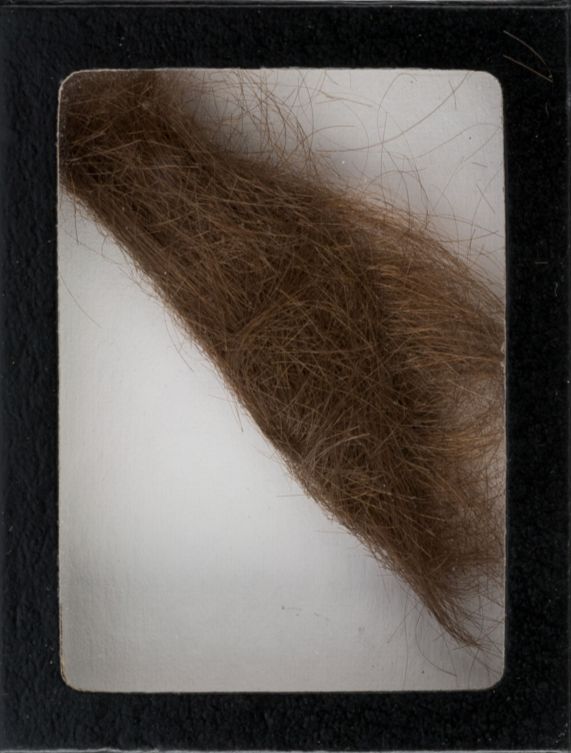 John Lennon's hair. Courtesy of Heritage Auctions.