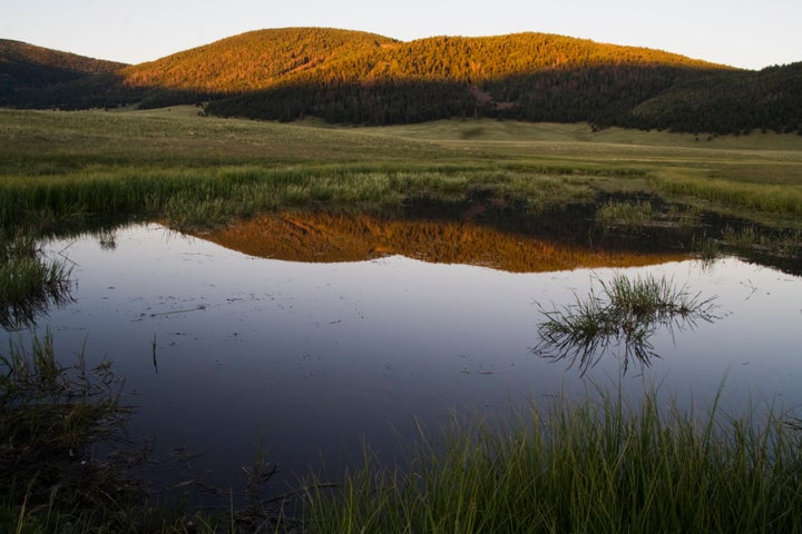 The Valles Caldera National Preserve, where a bear attacked marathon runner Karen Williams on Saturday.