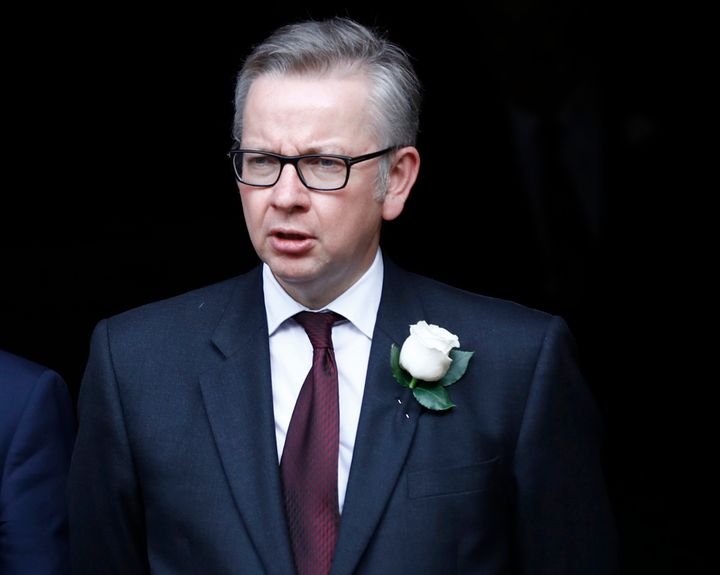 <strong>Michael Gove has compared economic experts warning about the fall-out of Brexit to the Nazis</strong>
