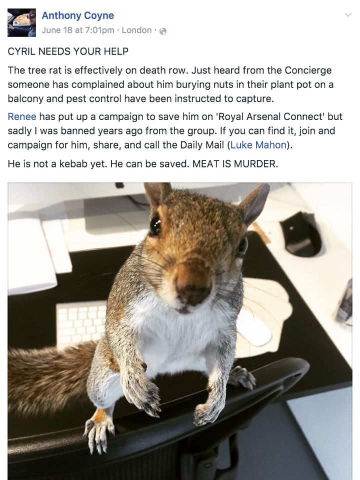 <strong>A plea from Coyne on Facebook for people to help save Cyril the 'death row' Squirrel</strong>
