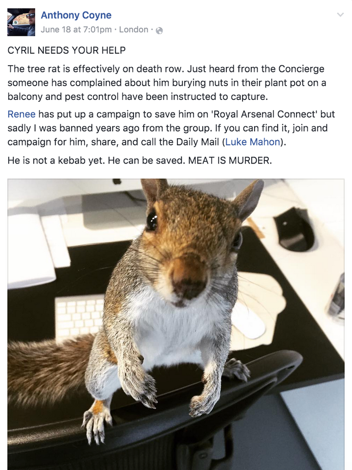 A plea from Coyne on Facebook for people to help save Cyril the 'death row' Squirrel