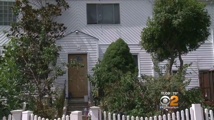 Officials said more than 400 animals, mostly birds, were taken from this New York home.