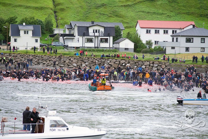 The carnage at Sandavágur.