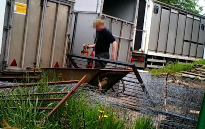 The footage was filmed by the Hunt Investigation Team