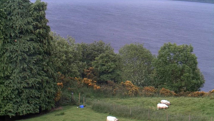Jim Winiski believes this is proof of the existence of the Loch Ness Monster