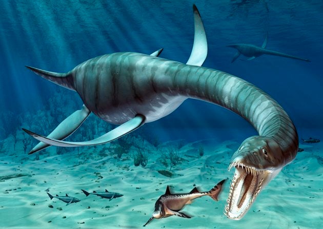 Was Nessie the last of a line of long-surviving plesiosaurs?