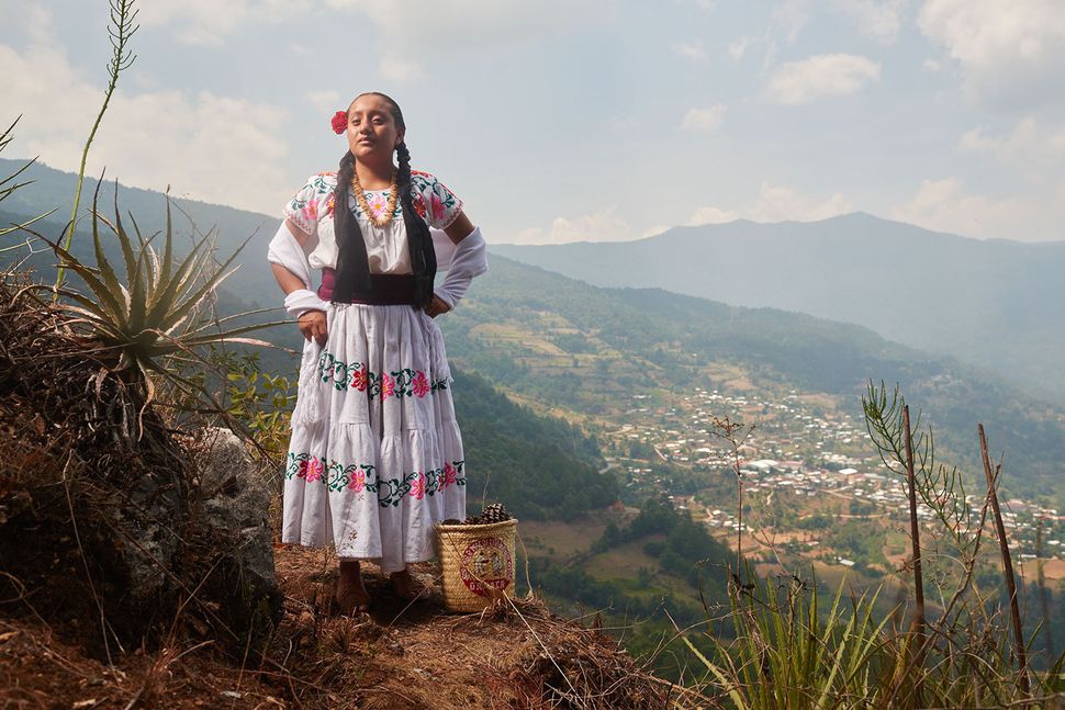 the-dazzling-indigenous-cultures-of-mexico-in-photos-huffpost