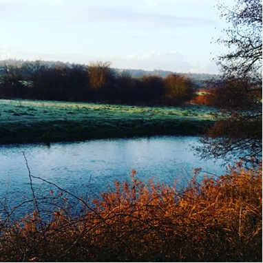 Walk along the canal