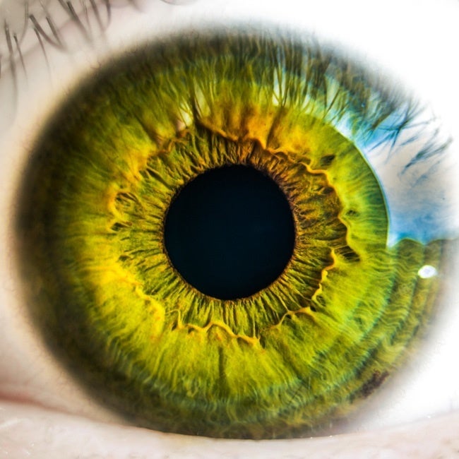 Humans are an essential component for robust IT security.