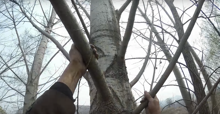 Jia Haixia was blinded 16 years ago in an accident, but he's worked alongside his "brother" to plant more than 10,000 trees in rural China.