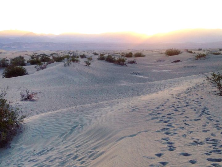 Watching the sun rise over the Mesquite Sand Dunes is a must in Death Valley. 