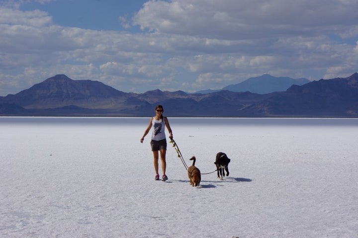 Road-tripping the USA with our dogs. Here we were in the Salt Flats in northern Utah.