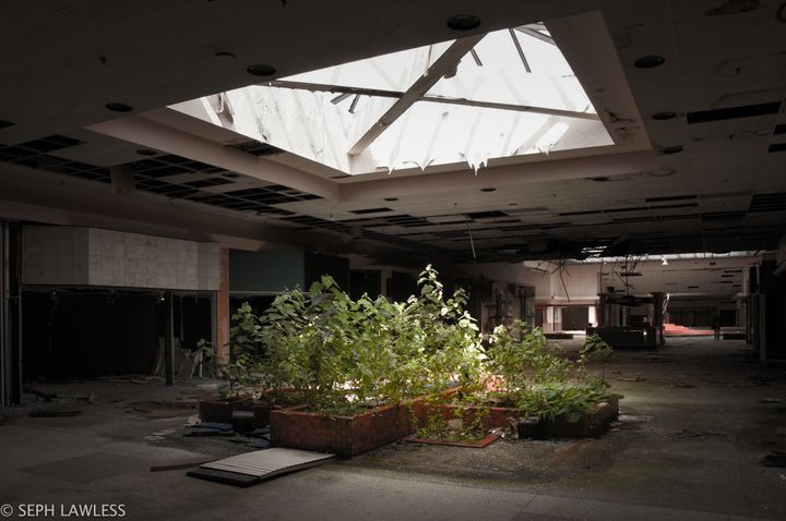 Surreal photos go inside abandoned malls in suburban Chicago