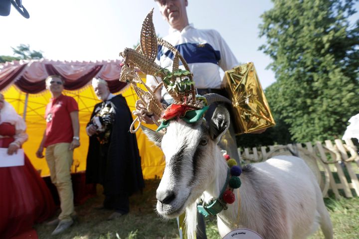 Goat owner Ferdinandas Petkevicius with Demyte, which means "Little Spot." Demyte won the goat beauty pageant in Ramygala, Lithuania on Sunday.