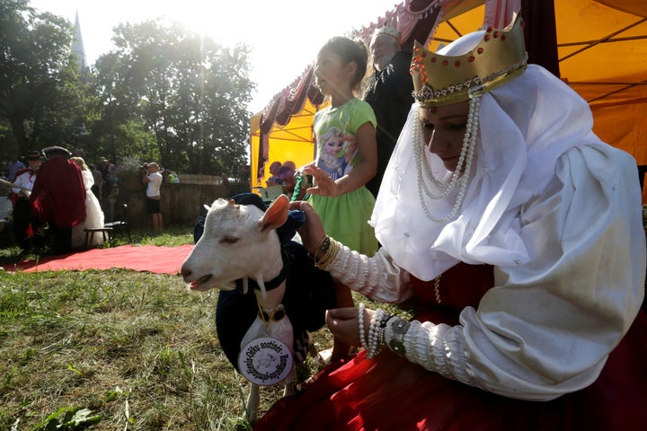 This goat, who didn't win, is consoled by a woman in medieval attire.