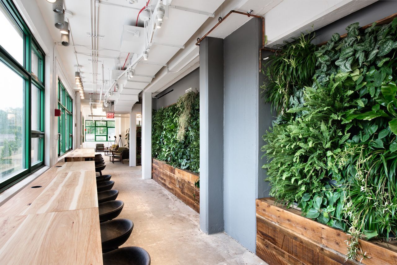A greenery-filled wall at Etsy's office.