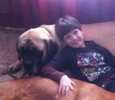 A boy and his dogs.