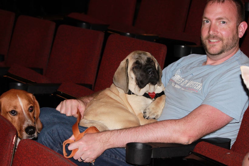 Nathan Ackerman after the festival with Lagertha and Winchester. 