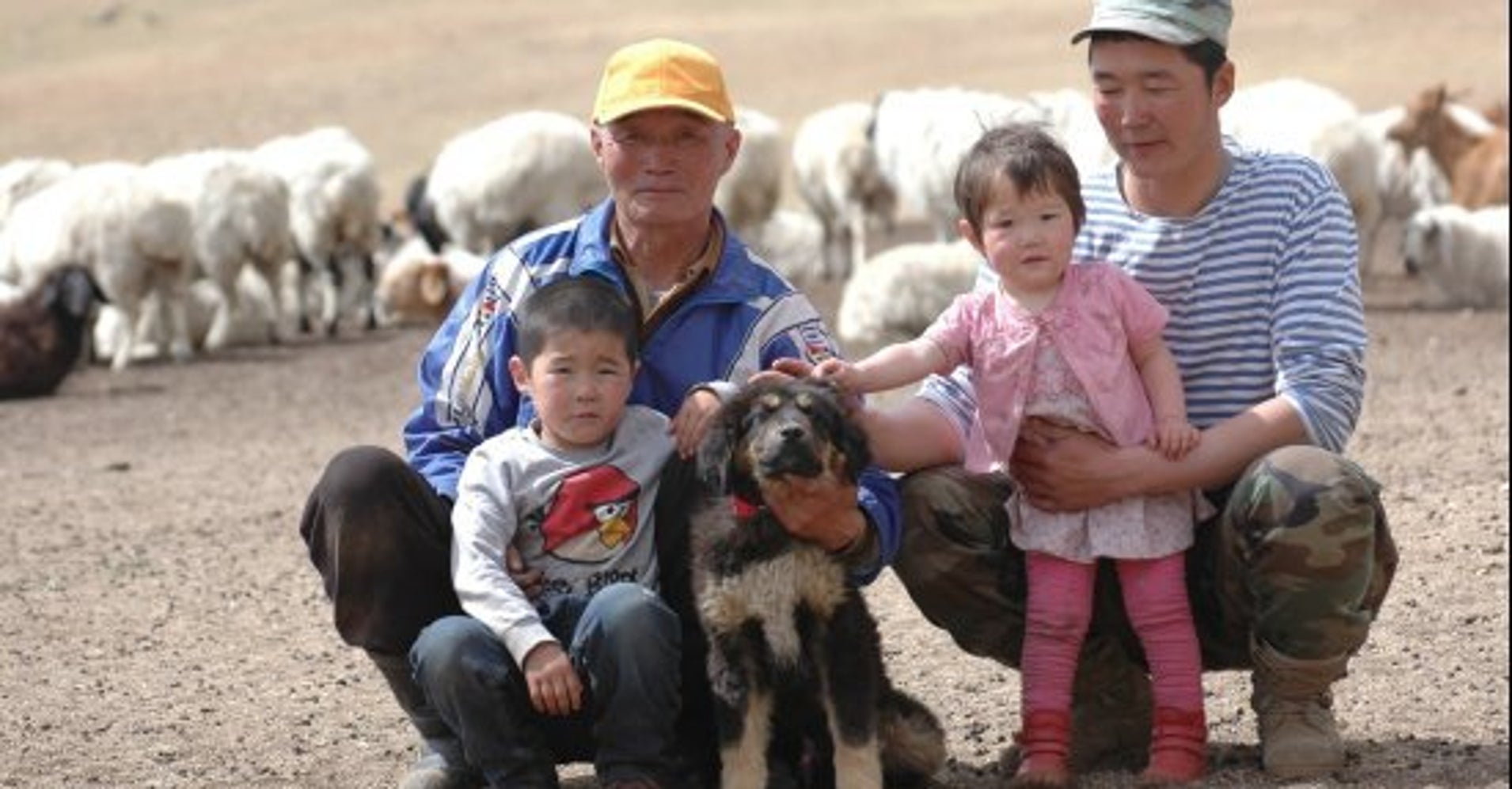 Dogs Save Snow Leopards and Wolves in Mongolia | HuffPost