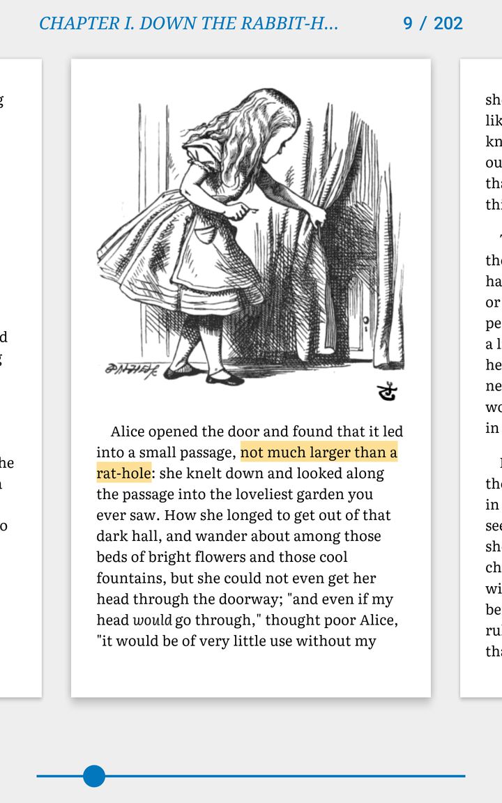 Google Play Books has a somewhat similar feature to Page Flip.