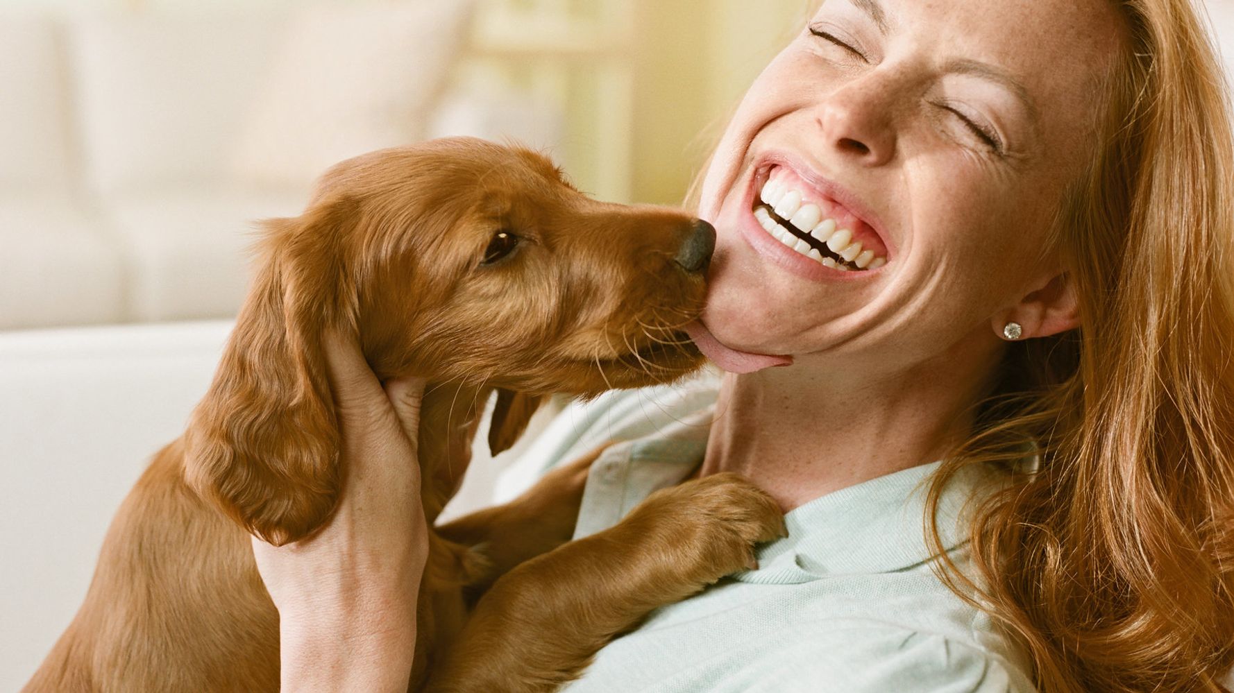 Letting Your Dog Lick Your Face Could Harm Your Health, Experts Warn | HuffPost UK Life