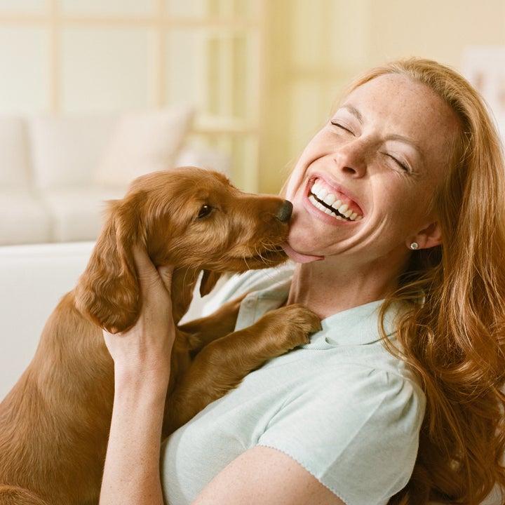 are dog kisses harmful