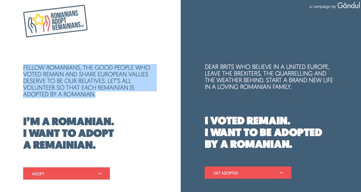 A screen shot of the website 'romaniansadoptremainians'