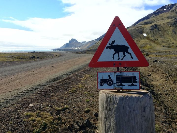 None of these things exist on Jan Mayen, but itâs good to have a sense of humor so far from civilization.